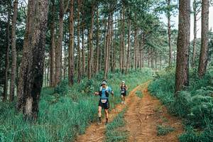 BIB: 
                            <button type="button" onclick="openModal(25741994)" class="btn btn-primary btn-sm float-right btn-popup" data-toggle="modal" data-target=".modal-high-quality">
                        <i class="fas fa-shopping-cart"></i> Add to Cart
                    </button>
                                            <button type="button" onclick="isThisMe(25741994, true)" class="btn btn-success btn-sm float-right btn-popup btn-isme hidden" data-toggle="tooltip" data-placement="bottom" title="นี่คือรูปของคุณใช่ไหม คลิกที่นี่เพื่อเอาเข้าอัลบั้ม">
                        <i class="fas fa-plus"></i> Add to album
                    </button>
                    <button type="button" onclick="isThisMe(25741994, false)" class="btn btn-warning btn-sm float-right btn-popup btn-isnotme hidden">
                        <i class="fas fa-ban"></i> Remove from album
                    </button>